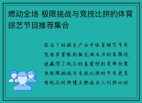 燃动全场 极限挑战与竞技比拼的体育综艺节目推荐集合